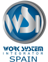 Logo WSI Spain